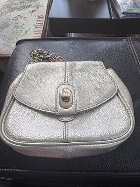 Banana Republic Compact  Metallic Leather Silver Crossbody with Chain Strap